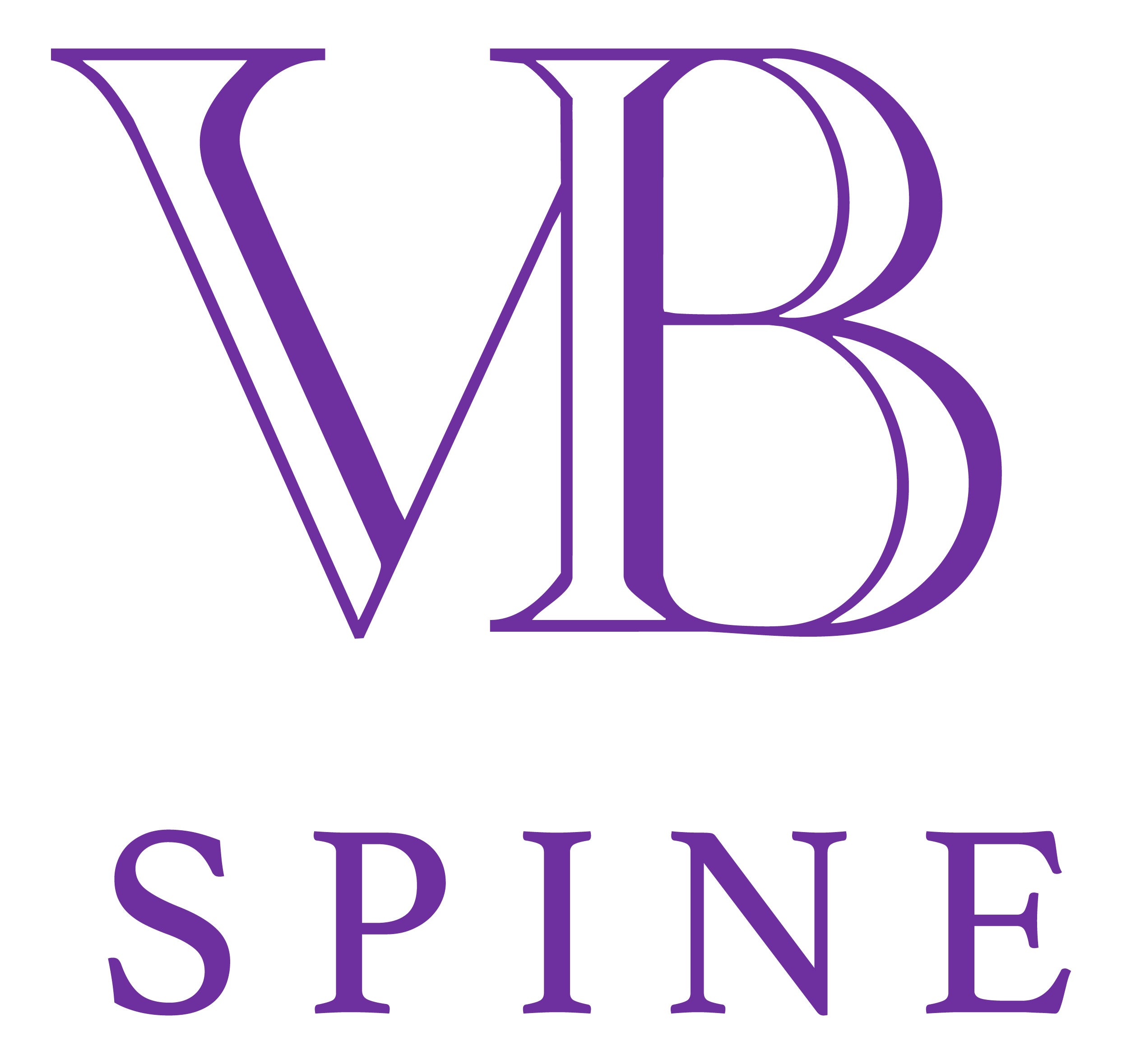 VB Spine, LLC